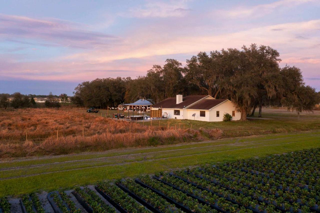 Plant City Home With Outdoor Pool! Luaran gambar